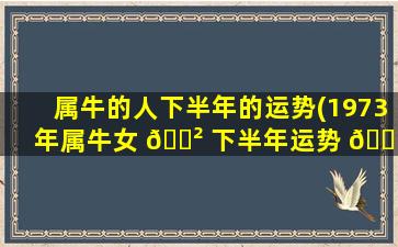 属牛的人下半年的运势(1973年属牛女 🌲 下半年运势 🕊 2023)